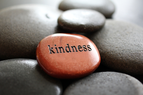 Kindness (Metta)