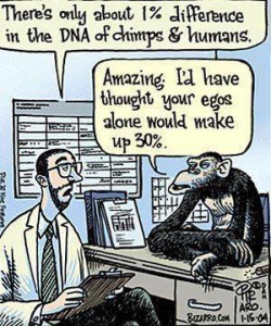 chimp and human DNA 1 percent