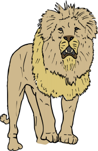 SteveLambert_Lion